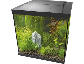 Start 60 Qube Kit Zwart