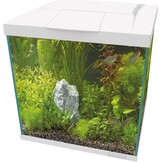 Start 60 Qube Kit Wit