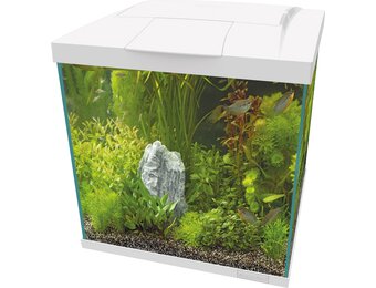 Start 60 Qube Kit Wit