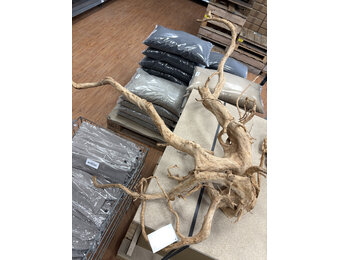 Selected Spider Wood Jumbo D