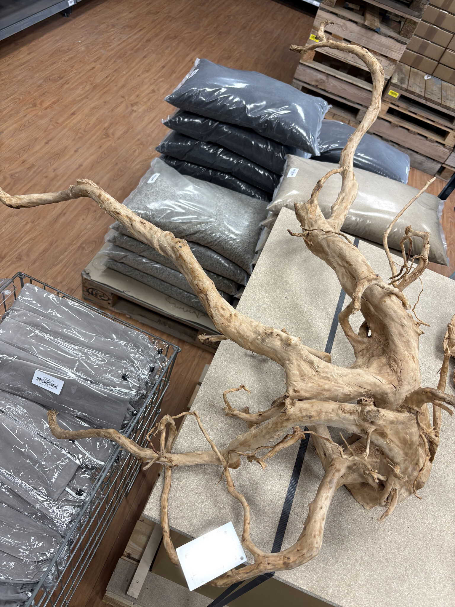 Selected Spider Wood Jumbo D