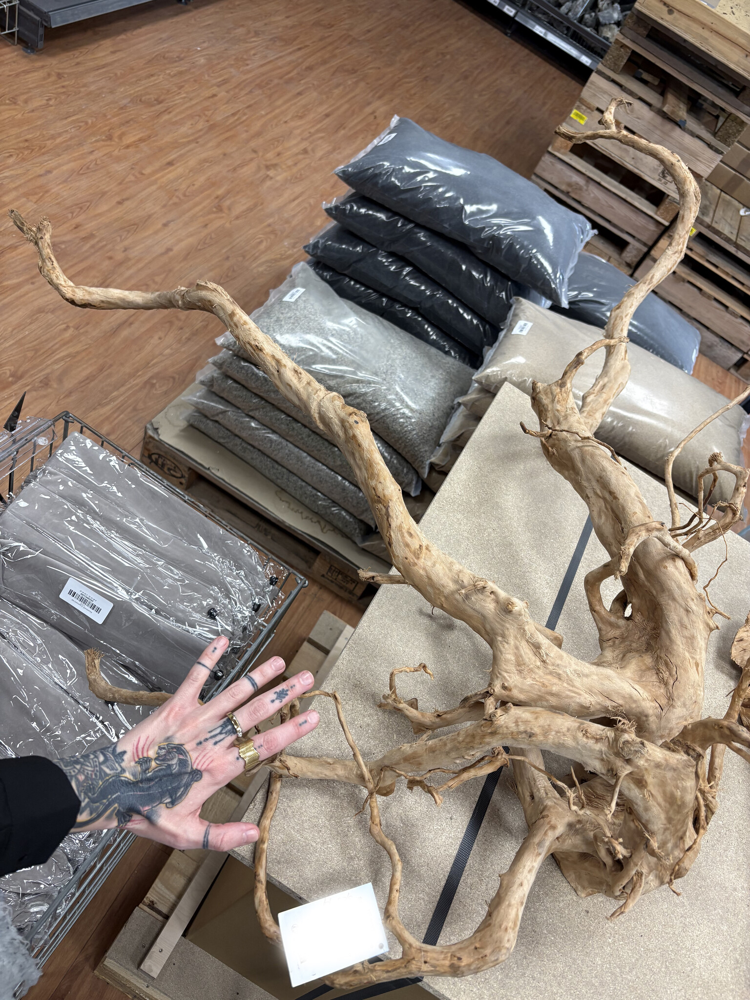 Selected Spider Wood Jumbo D