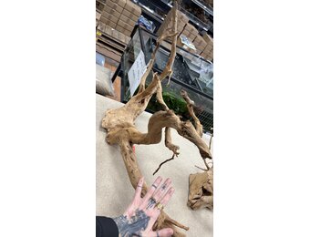 Selected Spider Wood Jumbo E