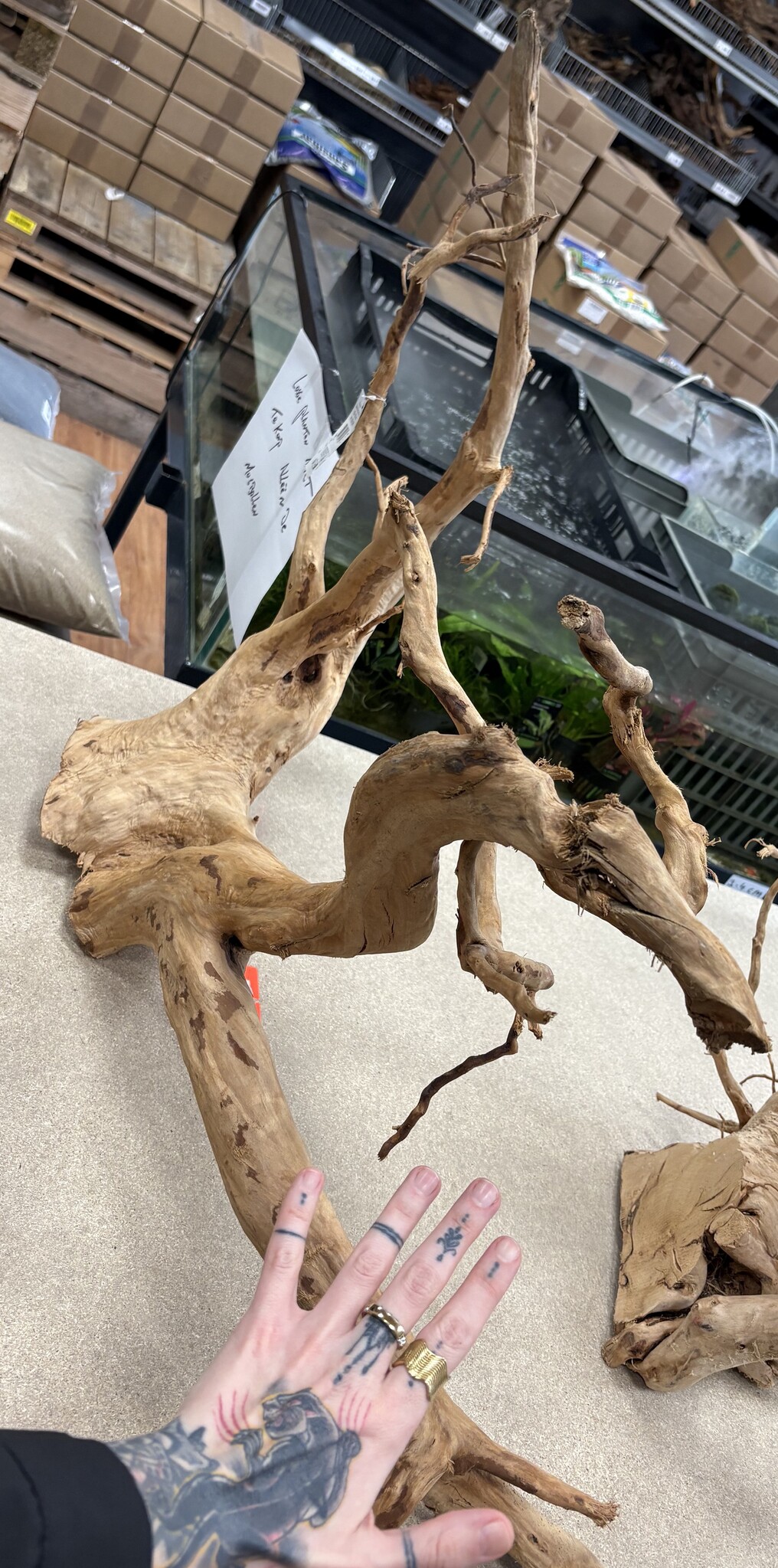 Selected Spider Wood Jumbo E