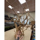 Selected Spider Wood Jumbo F