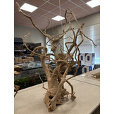 Selected Spider Wood Jumbo F