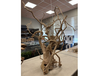 Selected Spider Wood Jumbo F