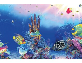 Deco Poster F5 120x61cm