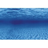 Deco Poster F6 150x61cm