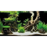 Deco Poster G3 100x49cm