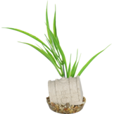 kunstplant schatkist 20cm