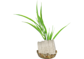 kunstplant schatkist 20cm