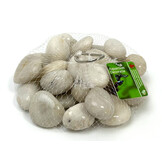 Beach Pebbles Wit 20-30mm