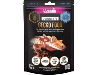 Earth Pro Stickyfood Lychee en Vijg 180g