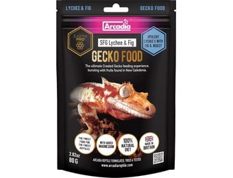 Earth Pro Stickyfood Lychee en Vijg 80g