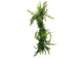 Terrarium Kunstplant Vines Green Asparagus 60cm