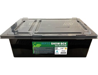 Show Box 35x24x11cm