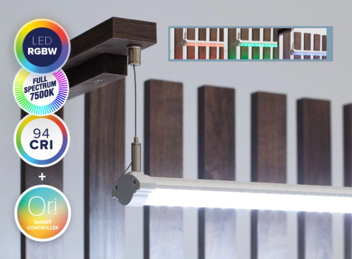 Aqua Shallow Set 80x45cm Wit & Wild Eiken Donkerbruin