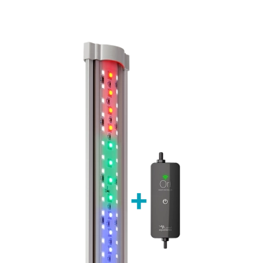 Aqua Shallow Set 80x45cm Wit & Wild Eiken Donkerbruin