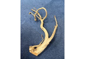 Spider Wood XXL 70-100cm