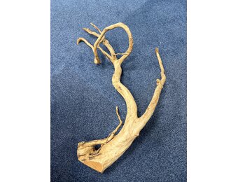 Spider Wood XXL 70-100cm