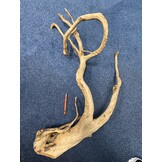 Spider Wood XXL 70-100cm