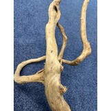 Spider Wood XXL 70-100cm