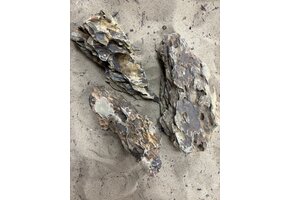 J Steenbundel Dragon Rock bruin 3 stuks