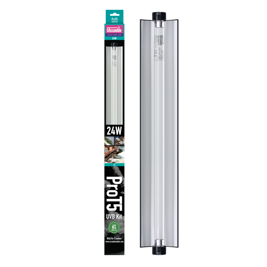Pro T5 Uvb Kit Forest 6% Uvb 24W