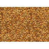Pond Variety Sticks 1L