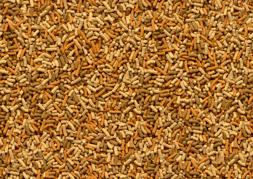 Pond Variety Sticks 1L