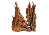Wabi Kusa Honingraat Hout 5-12cm 2 stuks