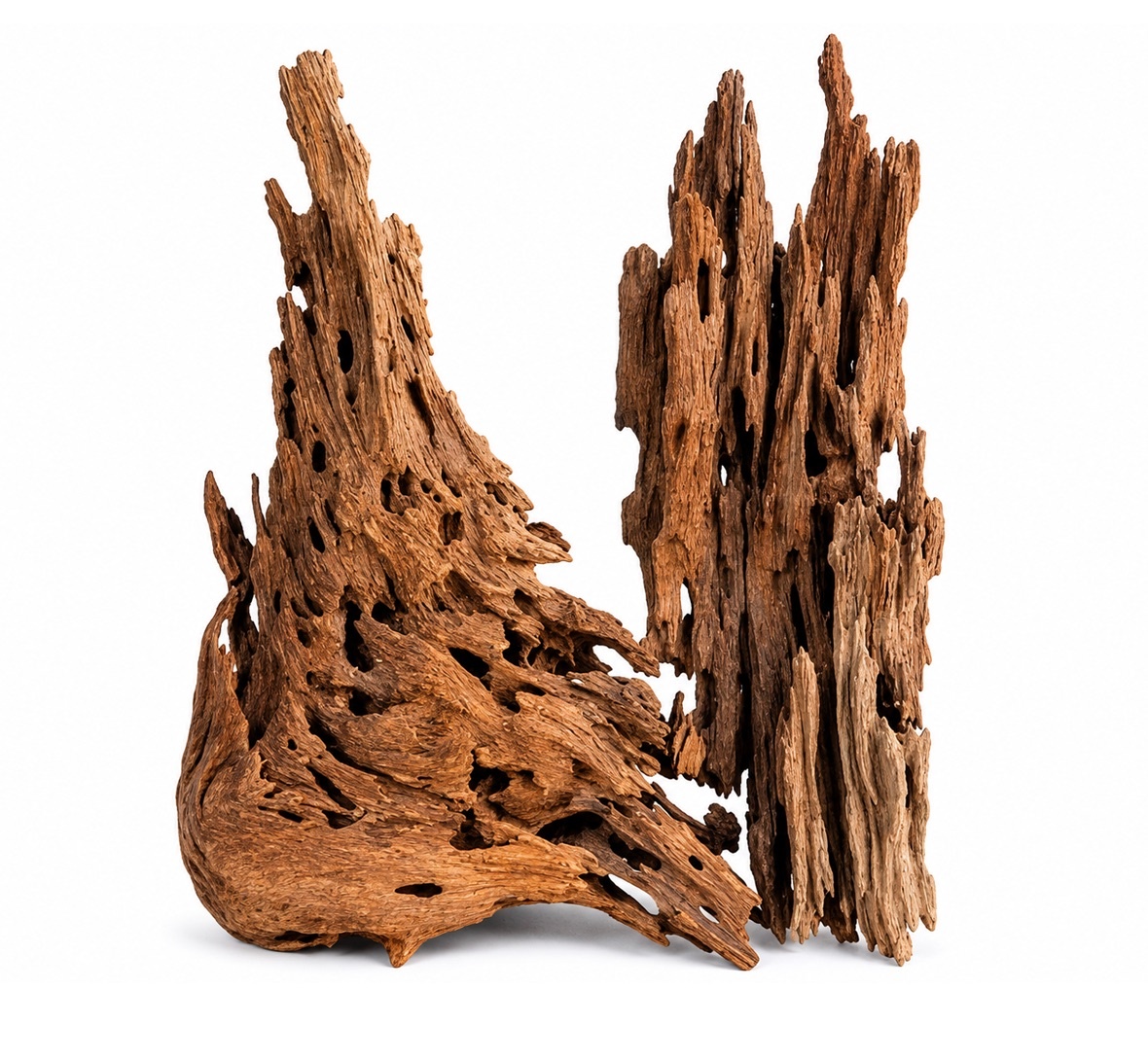 Wabi Kusa Honeycomb Wood 5-12cm 2 stuks