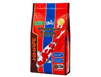 Wheat-Germ Medium 2 KG