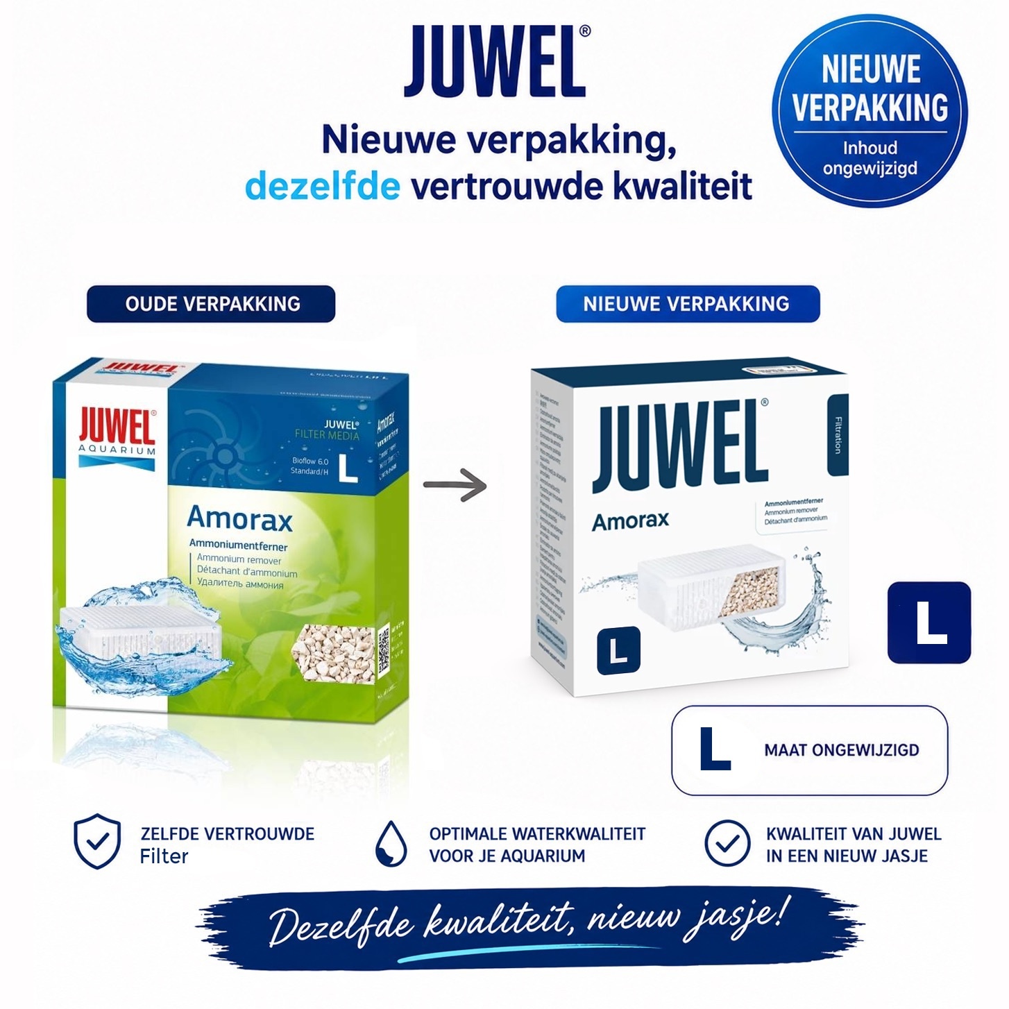 Amorax L standard 6.0