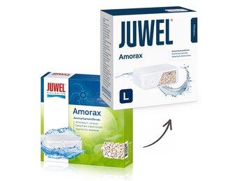 Amorax L standard 6.0
