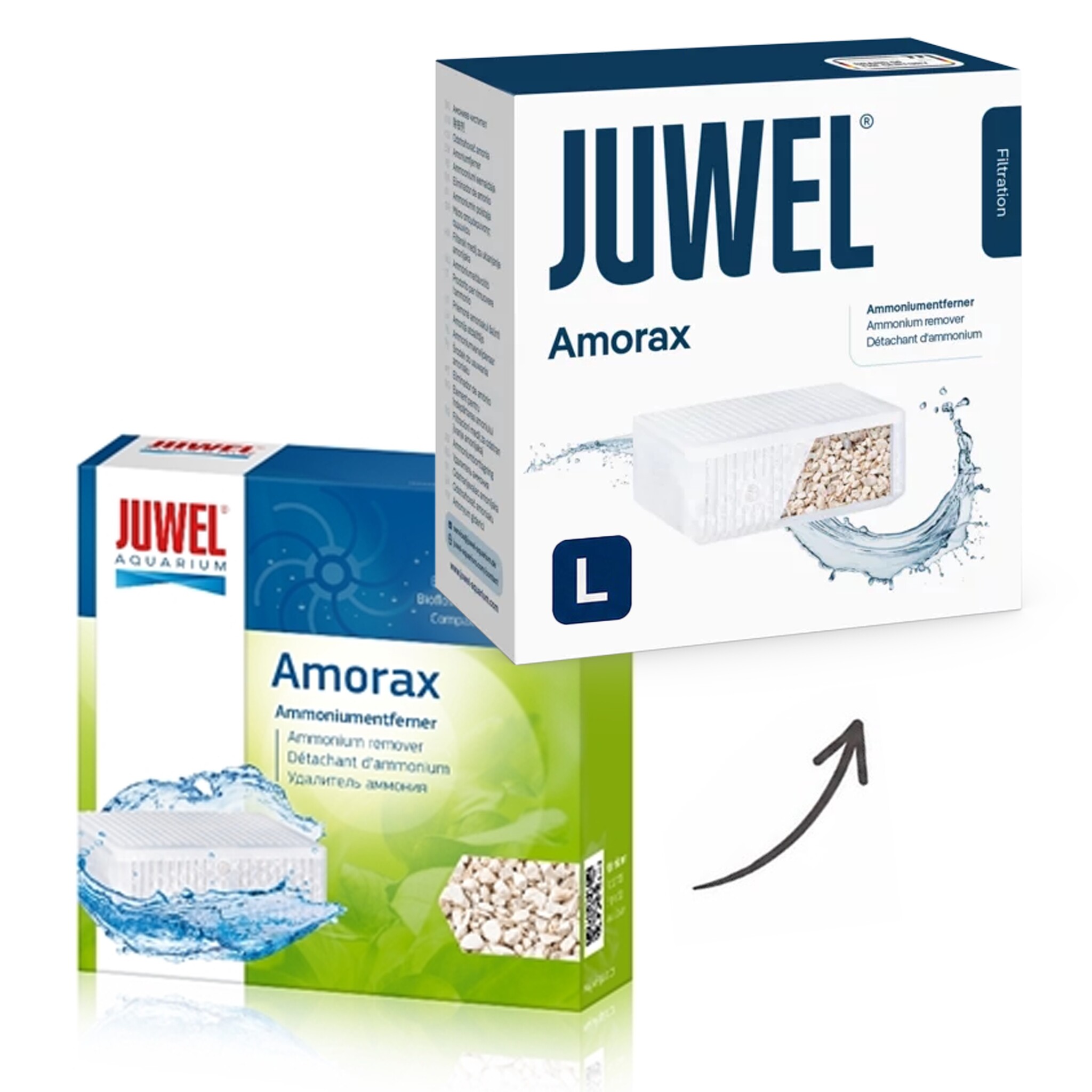 Amorax L standard 6.0