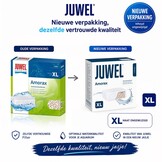 Amorax XL standard 8.0