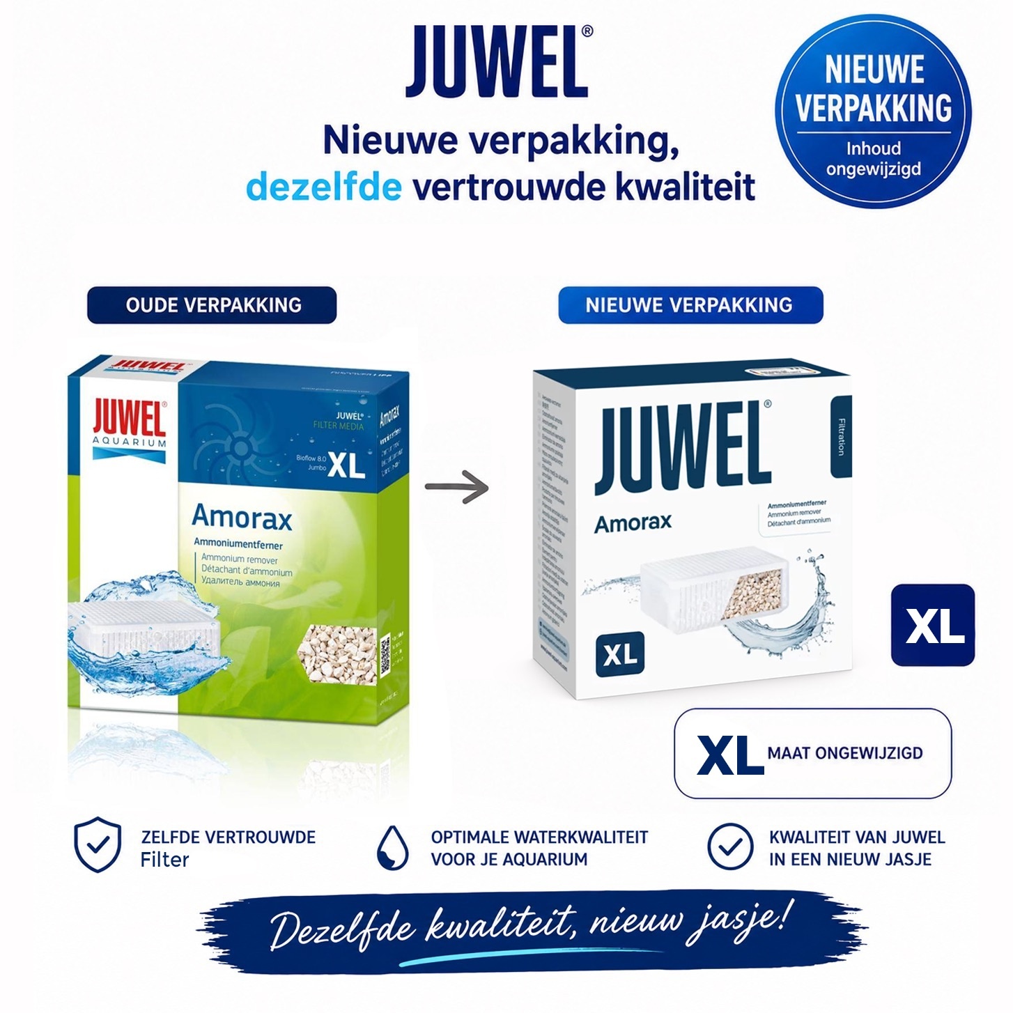 Amorax XL standard 8.0