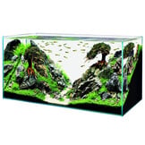 ScaperLine 100 Aquarium