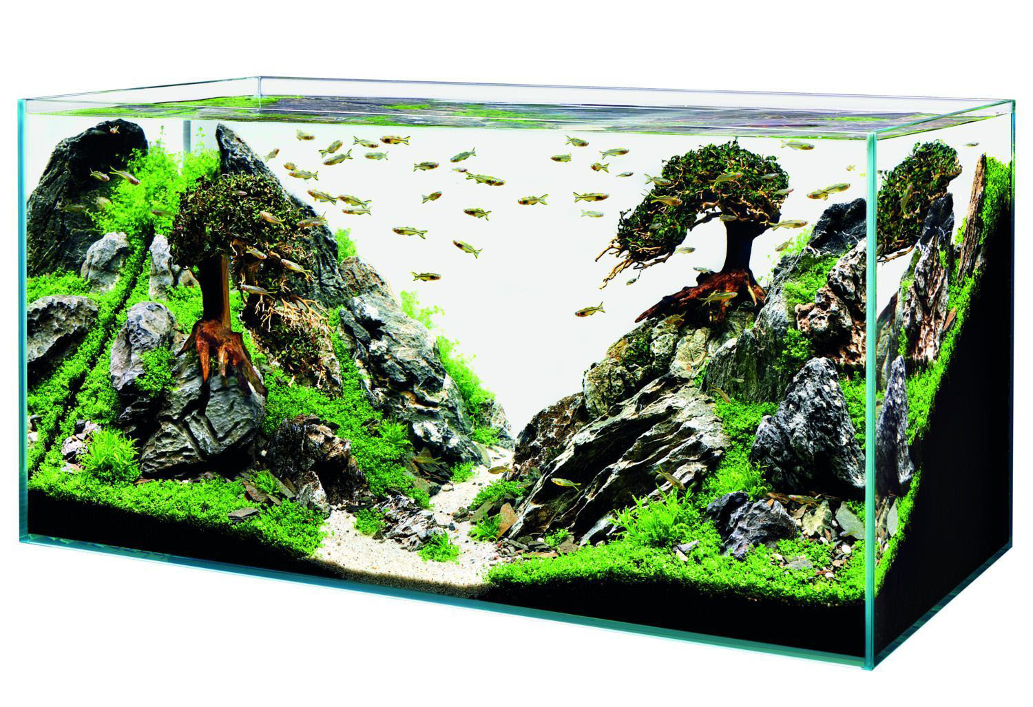ScaperLine 100 Aquarium
