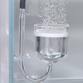 Proflora CO2 Taifun Glass Midi