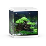 Vio Cube 54 Wit