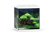 Vio Cube 54 Wit