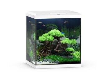 Vio Cube 54 Wit