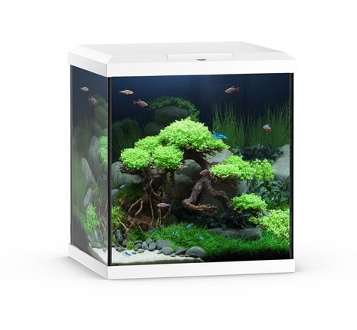 Vio Cube 54 Wit