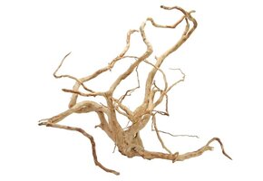 Spider Wood XL