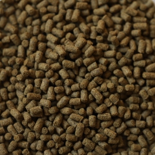 Rin Axolotl Snack 80g