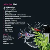All In One! Elixier 500ml