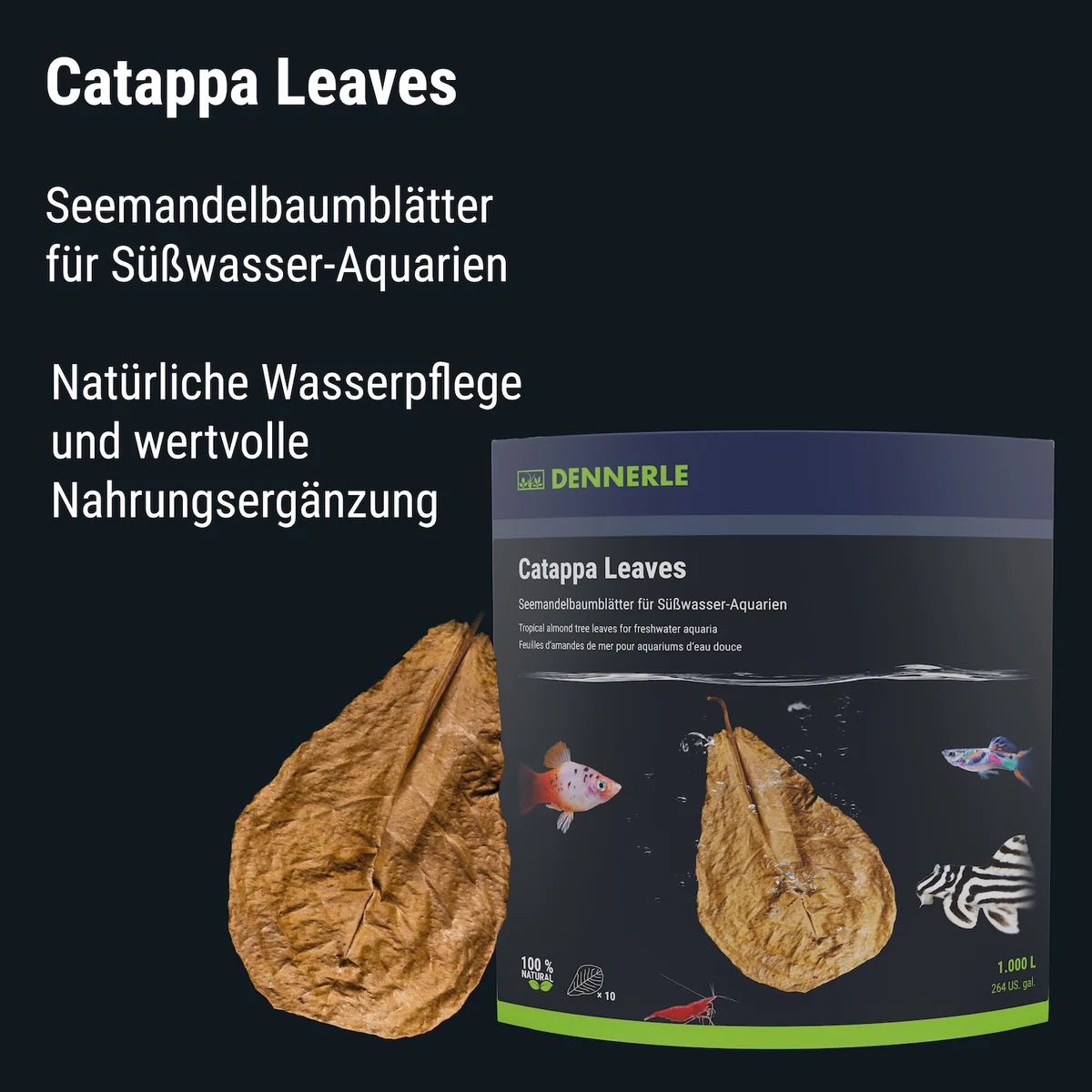 Catappa Leaves 10 St - Voor 800 L